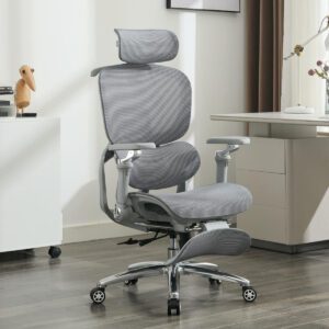 ghế công thái học